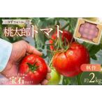 秋作 トマト 桃太郎 約2kg