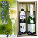 甲州スパークリングワイン&100%ぶどうジュース赤