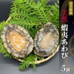 ふるさと納税 あわび 5個 冷凍 鮑 蝦夷あわび 鮑 Abalone ステーキ バターソテー 正月 お正月 おせち 刺し身 刺身 バーベキュー BBQ ごはん 夕.. 岩手県大船渡市