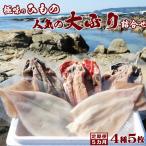 食べ応え抜群 評判の大ぶりひもの特選セット