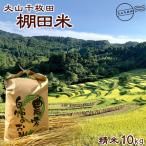 大山千枚田の天水田育ち 棚田米 10kg