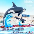 1Dayチケット 大人 高校生以上 1枚