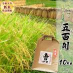 関東一の極早生米 五百川 一等米 10kg