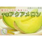 ふるさと納税 【高橋メロン農園】千葉アクアメロン L玉以上 × 1個 [0010-0097] 千葉県鴨川市