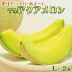 千葉アクアメロン L玉以上 2個