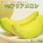 千葉アクアメロン L玉以上 3個
