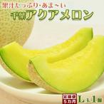 高橋メロン農園 千葉アクアメロン L玉以上 1個