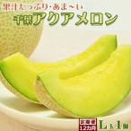 高橋メロン農園 千葉アクアメロン L玉以上 1個