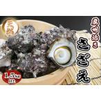 fu.... налог [.. прямая поставка!].. чёрный .. .....[ натуральный . Sazae ]1.5kg и больше (8~12 шт ) { время ограничено }{ ограниченное количество }{ рассылка день указание OK}{ рассылка палец.. Chiba префектура Kamogawa город 