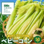 農家直送 SDGs米糠堆肥で作ったベビーコーン50本