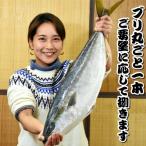 ブリ丸ごと一本 さばき方が選べます