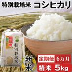 令和8年産 川名一将さんちの長狭米 特別栽培米コシヒカリ5k…