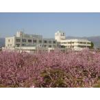 一宮温泉 人間ドック ラグジュアリーコース