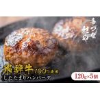 ショッピングふるさと納税 ハンバーグ ふるさと納税 喜づな旭や　飛騨牛100％したたまりハンバーグ　120g×5個【0092-004】 岐阜県可児市