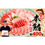 ふるさと納税 訳あり 本まぐろ 中とろ 不定型柵 刺身用 約400g |まぐろまぐろまぐろまぐろ FN-SupportProject 静岡県藤枝市