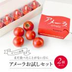 アメーラ トマト ルビンズ セット ミニトマト