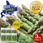朝採りアスパラ Lサイズ 3kg