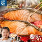 6回 定期便 鮭 切り身 塩銀鮭パック 3切