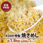 惣菜 冷凍 チャーハン1.6kg きむら J010-126002