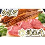 近江牛 うなぎ セット ヒレステーキ 3枚