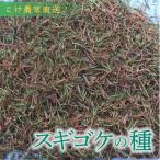 スギゴケの種10L こけ コケ