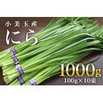 fu.... налог [ ограниченное количество * время ограничено ] Omitama город производство ..100g×10.. чесночный лук сырой зелень-коренья кулинария ежедневное блюдо гарнир 1kg Ibaraki местного производства 17-AA <5 месяц ~11.. Ibaraki префектура Omitama город 