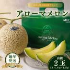 最高級温室 アローマメロン 山級2玉 化粧箱入り
