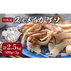 対馬産 スルメイカ ゲソ 2.5kg