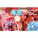 ショッピングふるさと納税 いちご ふるさと納税 群馬県渋川市産冷凍いちご 3kg いちご イチゴ 苺 冷凍 小分け フルーツ 果物 国産 F4H-0273 群馬県渋川市