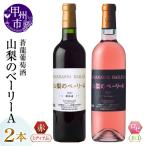 ワイン 蒼龍葡萄酒が贈る 山梨のベーリーA
