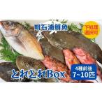 鮮魚詰合せ とれとれBox 下処理可 下処理なし