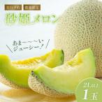 砂姫メロン1玉