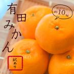 紀州有田みかん 約10kg