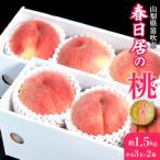 ふるさと納税 <25年発送先行予約>≪山梨直送≫山梨産「春日居の桃」特秀品・中玉3玉×2箱 合計1.5kg 203-002 山梨県笛吹市