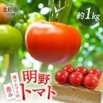 明野とまと 約1kg