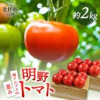 明野とまと 約2kg