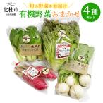 有機野菜おまかせ4種セット06 有機野菜 おまかせ 4種 セット