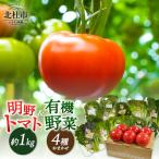 明野とまとと有機野菜おまかせ4種セット