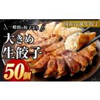大きめ 餃子 50個