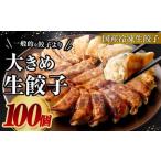 大きめ 餃子 100個