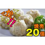 最高級 地鶏 南部かしわ 使用 焼売 20個