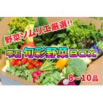 野菜ソムリエ “産直松の実の松原店長”
