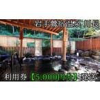 温泉 サウナ スパ利用券 岩手鶯宿温泉 川長 5000円分