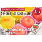 厳選旬のもも 約3kg