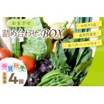 ふるさと納税 【野菜 定期便／4回】京都・直売所直送 野菜 「京都・京丹後産 季節の野菜」お任せ詰め合わせBOX（5品以上） 春夏秋冬 京都野菜 .. 京都府京丹後市