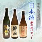 日本酒 飲み比べセット びんご圏域連携 天寶一