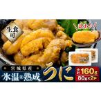 ふるさと納税 〈期間限定/数量限定〉訳あり 氷温(R)熟成 冷凍 生うに 200g（100g×2） 宮城県産 岩手県産 規格外 不揃い 生ウニ 生雲丹 うに.. 宮城県石巻市