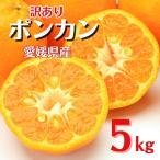 訳あり ポンカン 5kg