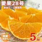 訳あり 愛果28号 5kg