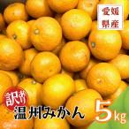 訳あり 温州みかん 5kg
